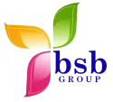 BSB Group